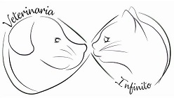 Veterinaria Infinito
